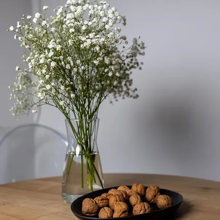 Appartement Centro Pula