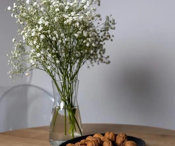 Apartman Centro Pula