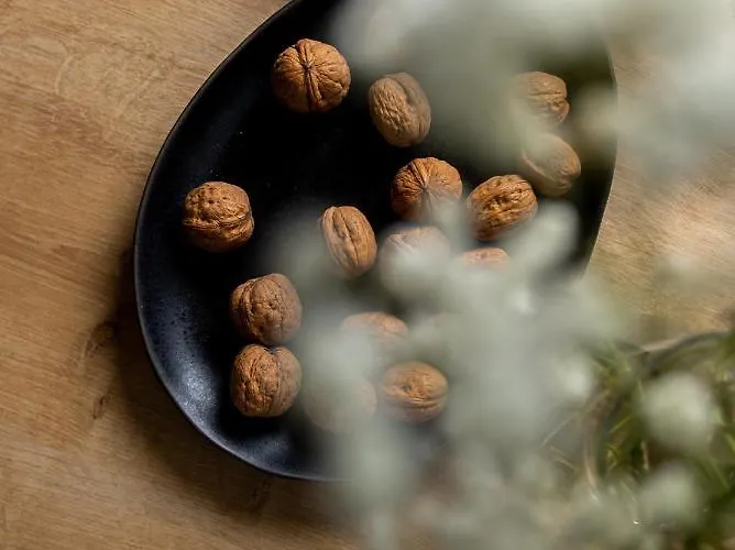 Centro Apartman Pula